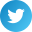 Twitter Icon